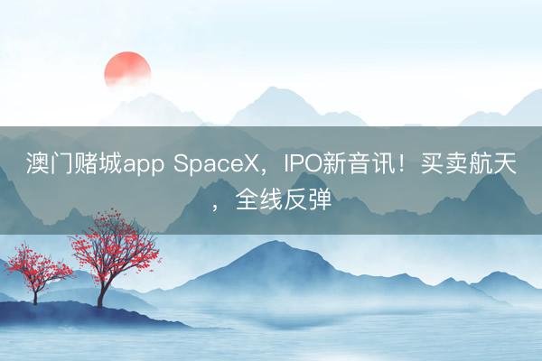 澳门赌城app SpaceX，IPO新音讯！买卖航天，全线反弹