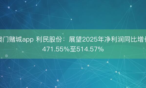 澳门赌城app 利民股份：展望2025年净利润同比增长471.55%至514.57%