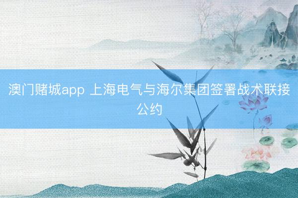 澳门赌城app 上海电气与海尔集团签署战术联接公约