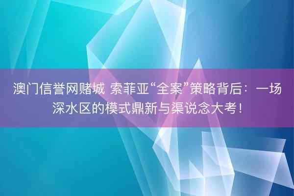澳门信誉网赌城 索菲亚“全案”策略背后：一场深水区的模式鼎新与渠说念大考！