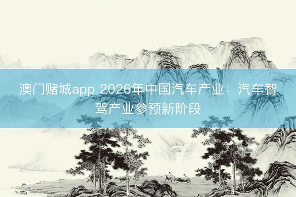澳门赌城app 2026年中国汽车产业：汽车智驾产业参预新阶段