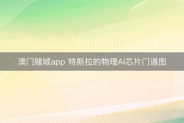 澳门赌城app 特斯拉的物理AI芯片门道图