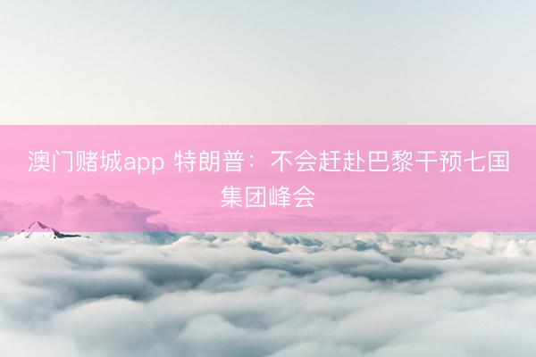 澳门赌城app 特朗普：不会赶赴巴黎干预七国集团峰会