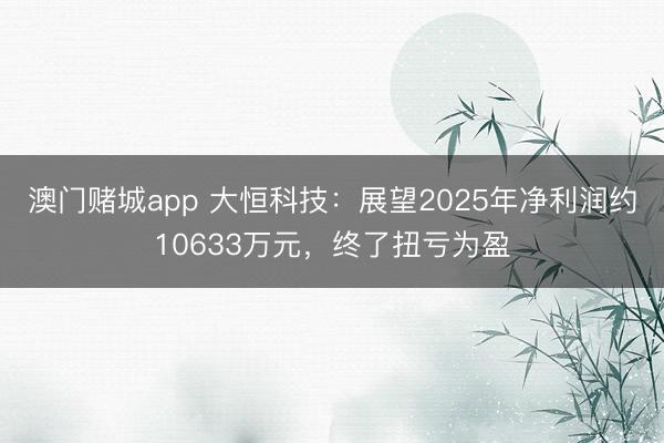 澳门赌城app 大恒科技：展望2025年净利润约10633万元，终了扭亏为盈