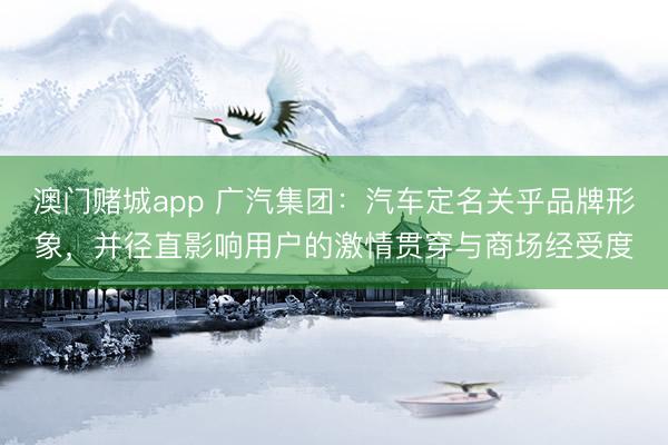 澳门赌城app 广汽集团：汽车定名关乎品牌形象，并径直影响用户的激情贯穿与商场经受度