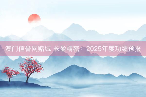 澳门信誉网赌城 长盈精密：2025年度功绩预报