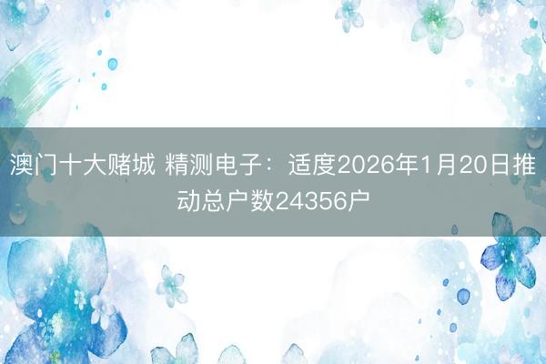 澳门十大赌城 精测电子：适度2026年1月20日推动总户数24356户