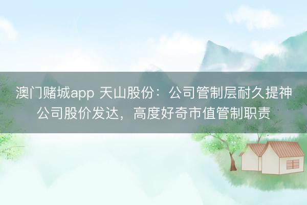 澳门赌城app 天山股份：公司管制层耐久提神公司股价发达，高度好奇市值管制职责
