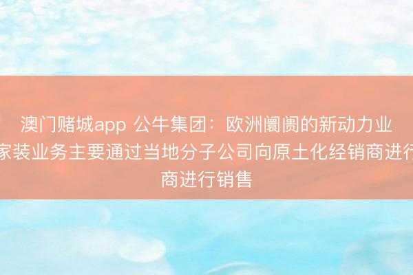 澳门赌城app 公牛集团：欧洲阛阓的新动力业务、家装业务主要通过当地分子公司向原土化经销商进行销售