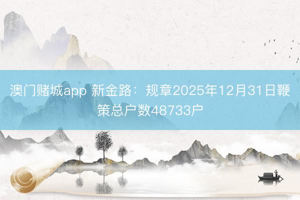 澳门赌城app 新金路：规章2025年12月31日鞭策总户数48733户