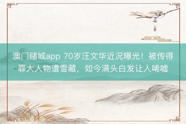 澳门赌城app 70岁汪文华近况曝光！被传得罪大人物遭雪藏，如今满头白发让人唏嘘