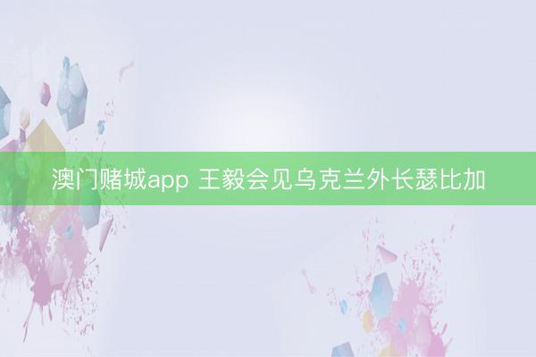 澳门赌城app 王毅会见乌克兰外长瑟比加