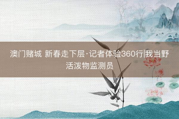 澳门赌城 新春走下层·记者体验360行|我当野活泼物监测员