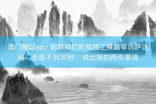 澳门赌城app 前联邦打听局特工裸露审讯萨达姆：会面不到30秒，说出我的两件事情