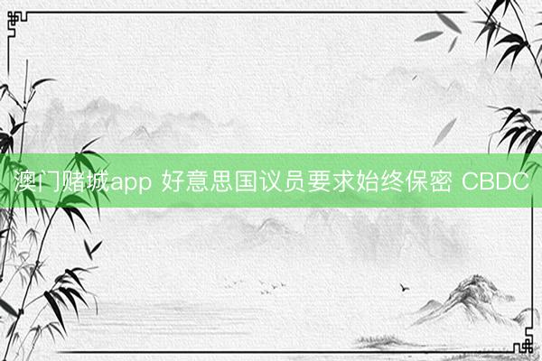 澳门赌城app 好意思国议员要求始终保密 CBDC