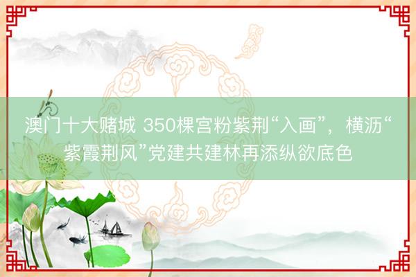 澳门十大赌城 350棵宫粉紫荆“入画”，横沥“紫霞荆风”党建共建林再添纵欲底色