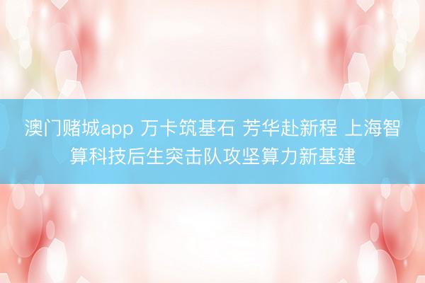 澳门赌城app 万卡筑基石 芳华赴新程 上海智算科技后生突击队攻坚算力新基建