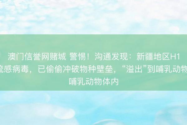 澳门信誉网赌城 警惕！沟通发现：新疆地区H11禽流感病毒，已偷偷冲破物种壁垒，“溢出”到哺乳动物体内
