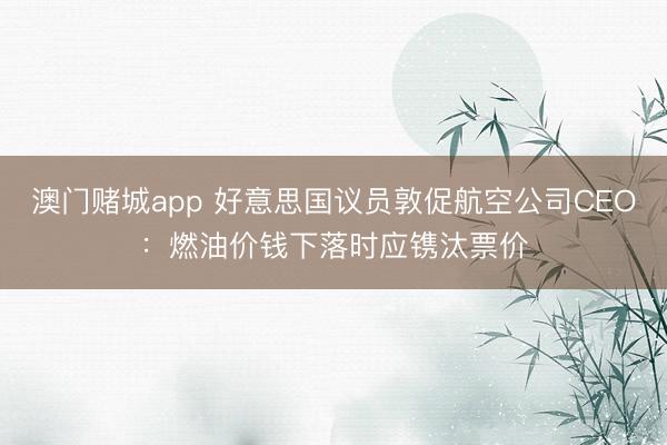 澳门赌城app 好意思国议员敦促航空公司CEO：燃油价钱下落时应镌汰票价