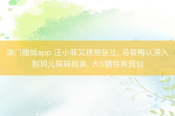 澳门赌城app 汪小菲又挟恨张兰， 马筱梅认深入割玥儿箖箖姐弟， 大S牺牲有规划