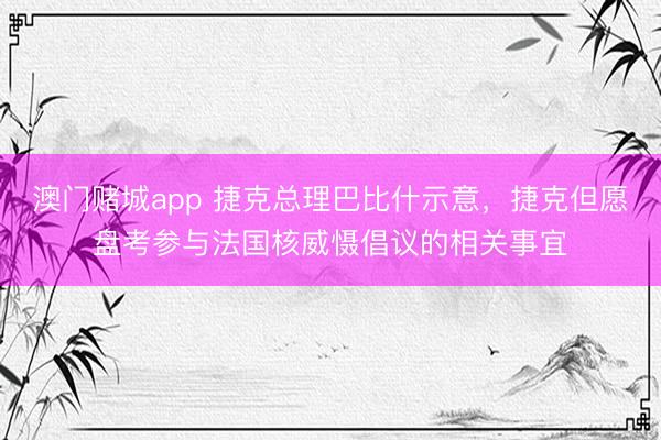 澳门赌城app 捷克总理巴比什示意，捷克但愿盘考参与法国核威慑倡议的相关事宜